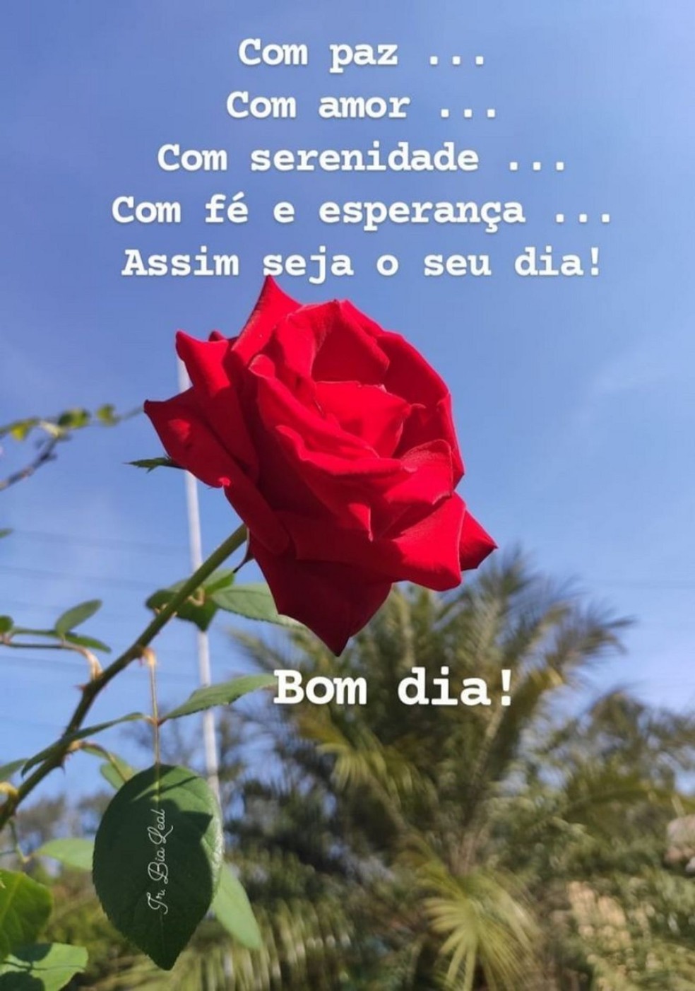 bom dia para equipe