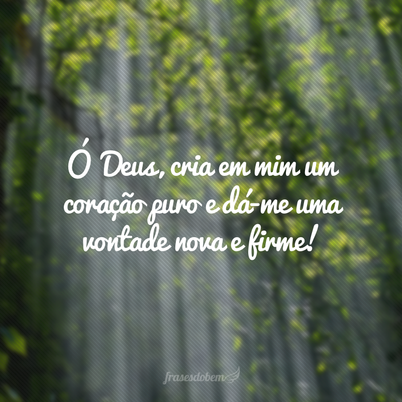 versículos de motivação