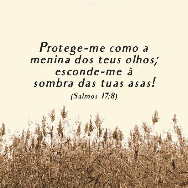 frases bíblicas para status