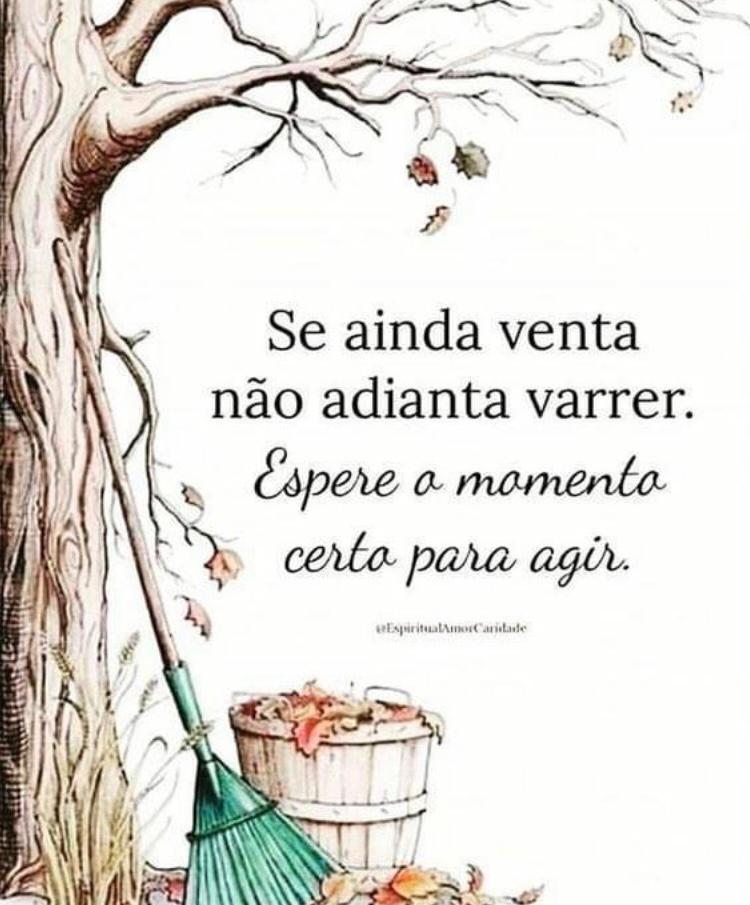 frases curtas para status