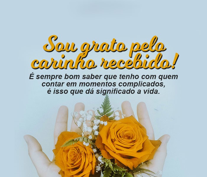 frases para agradecer visita em casa