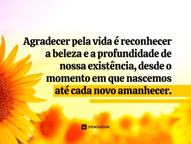 agradecer a Deus pela vida