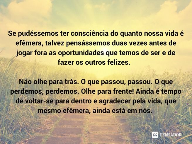 reflexão sobre gratidão pela vida