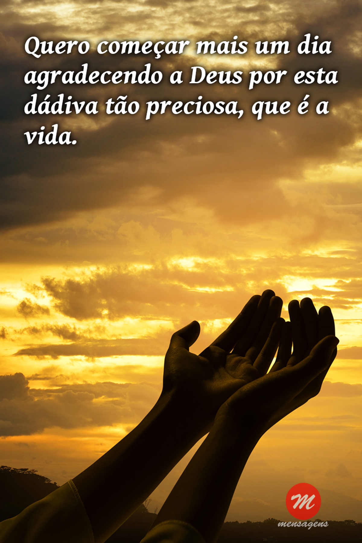 gratidão pela vida em momentos difíceis
