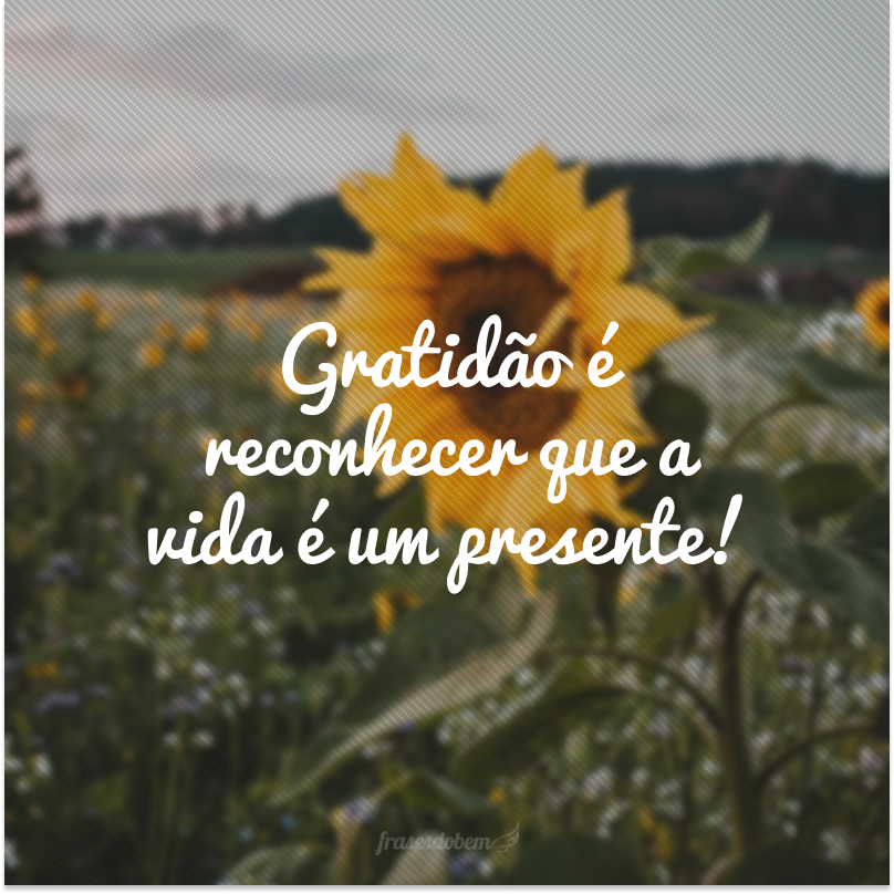 citações sobre gratidão pela vida