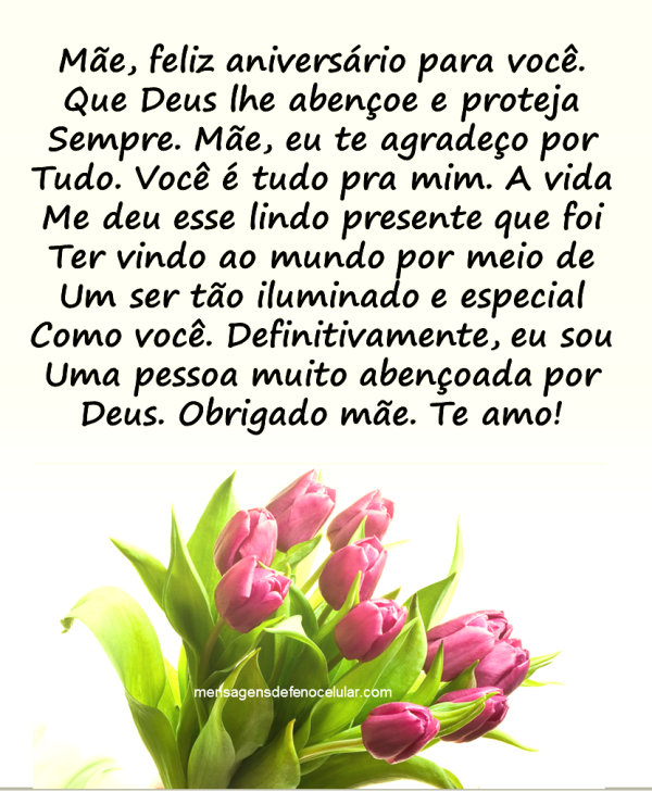 feliz aniversário mãe guerreira