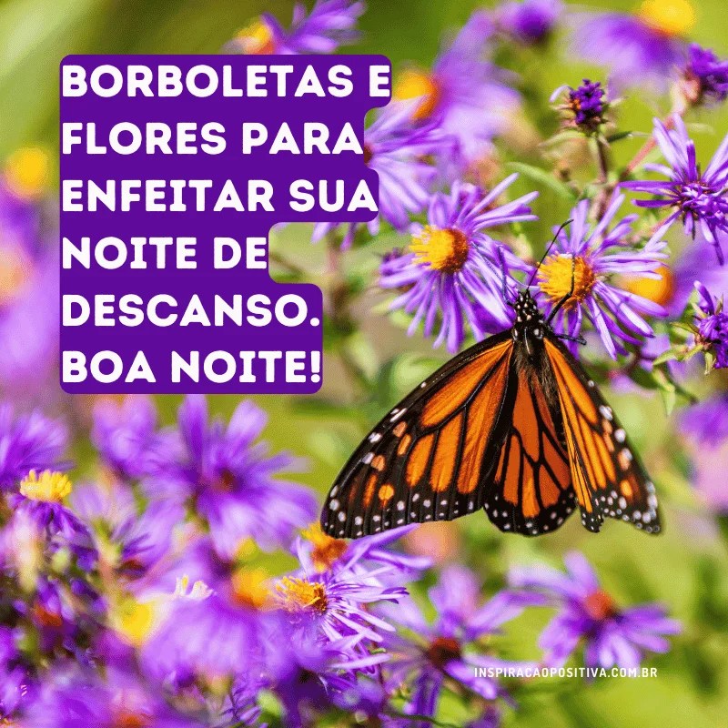 como desejar boa noite com flores e espiritualidade