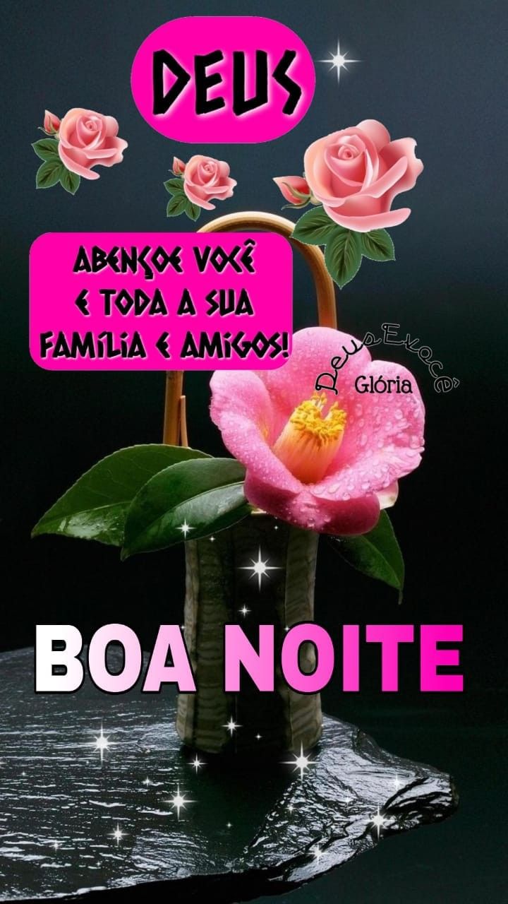 mensagem de boa noite com flores e paz