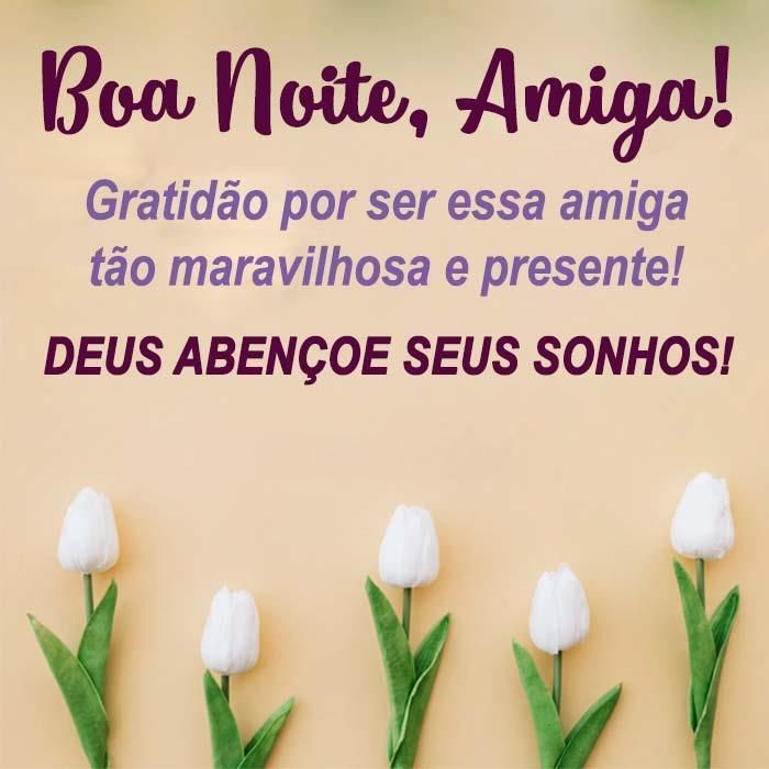 boa noite amiga mensagem de força