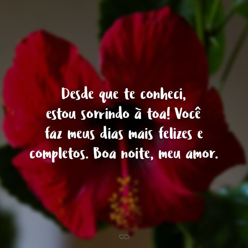 mensagens de boa noite com carinho