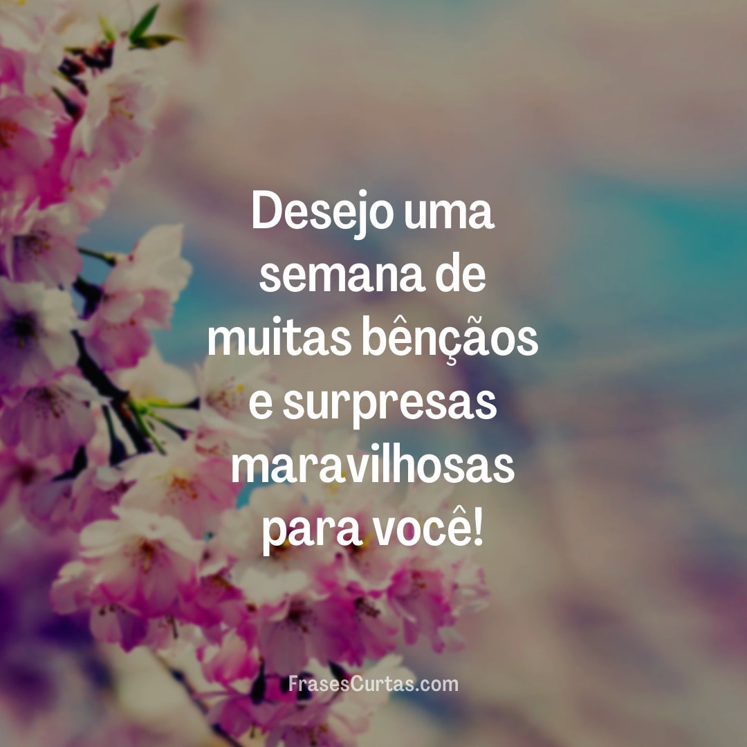 mensagens de segunda-feira com carinho