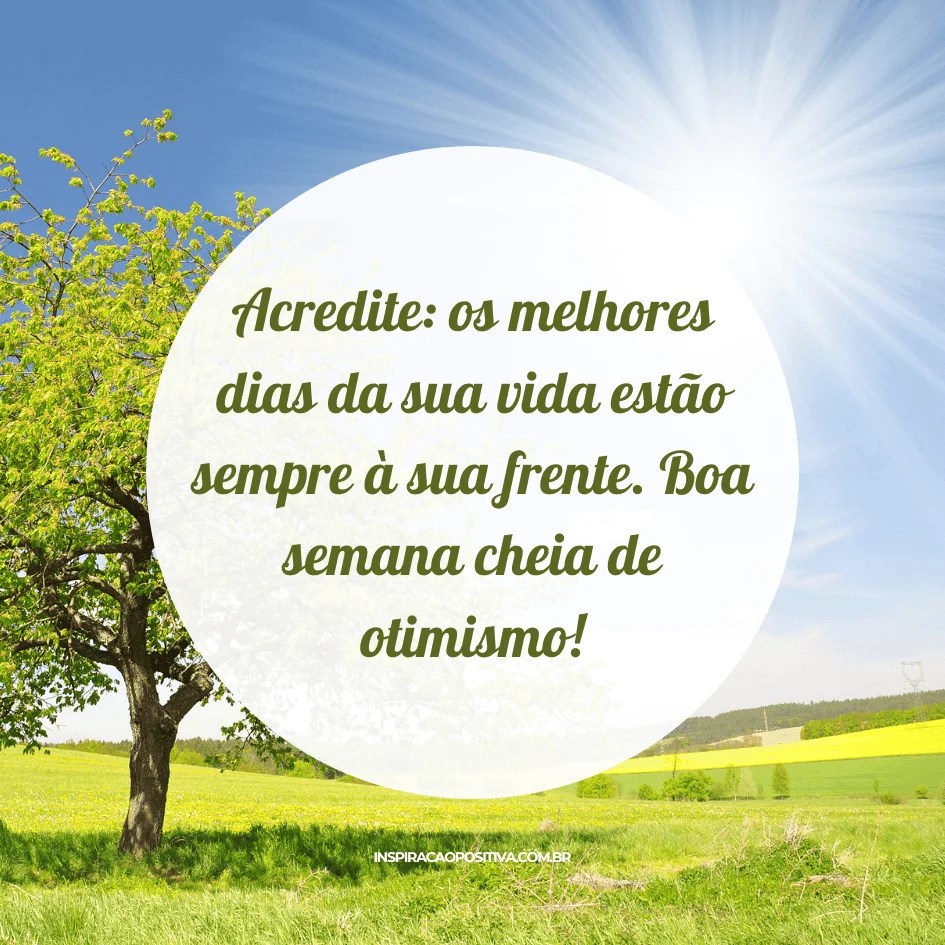 frases de segunda-feira motivacional