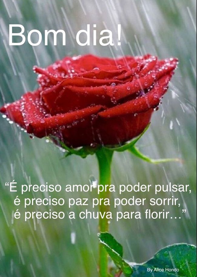 bom dia com chuva e café