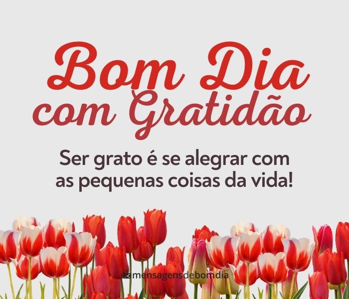 reflexão matinal com fé