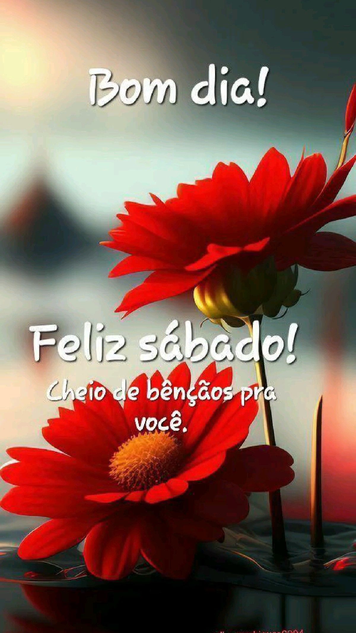 feliz sábado para você