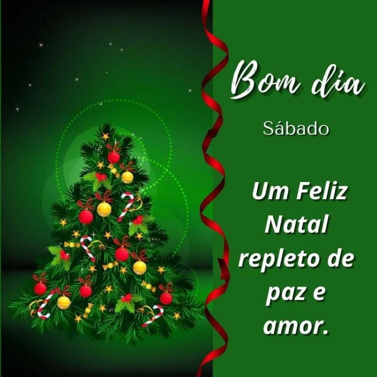 desejos de bom dia no Natal