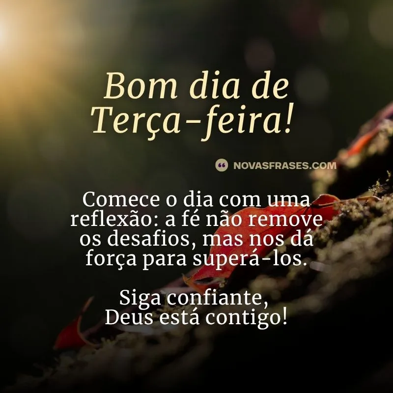 frases de bom dia para terça-feira