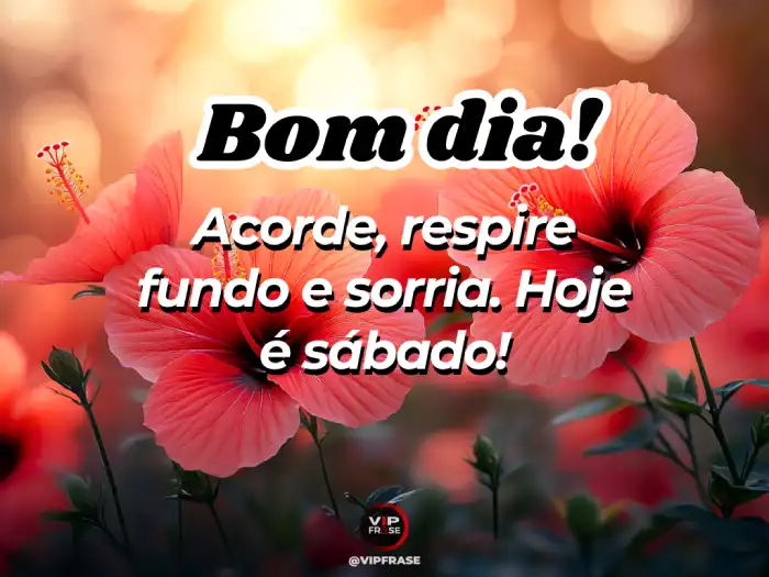 bom dia e ótimo sábado