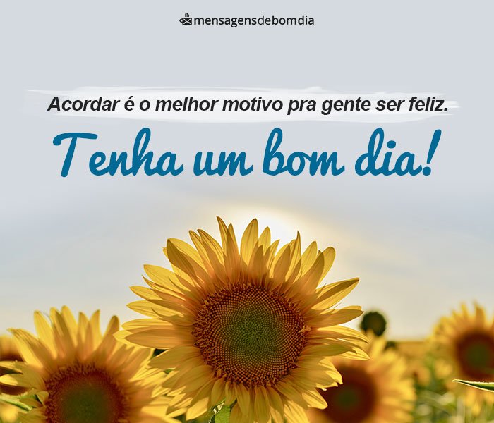 mensagem de bom dia para amigo especial whatsapp