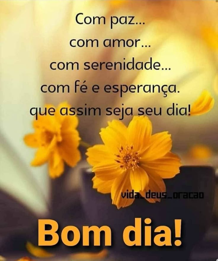 frases de bom dia criativas whatsapp