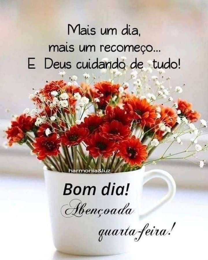 desejos de bom dia para quarta-feira