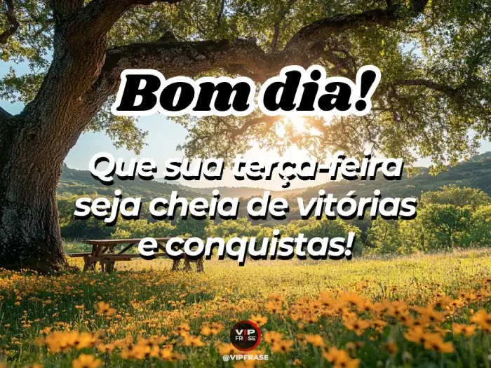 status bom dia terça
