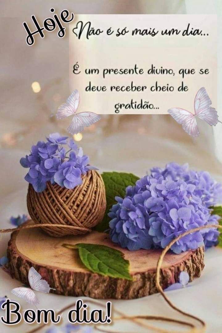 mensagem de bom dia especial