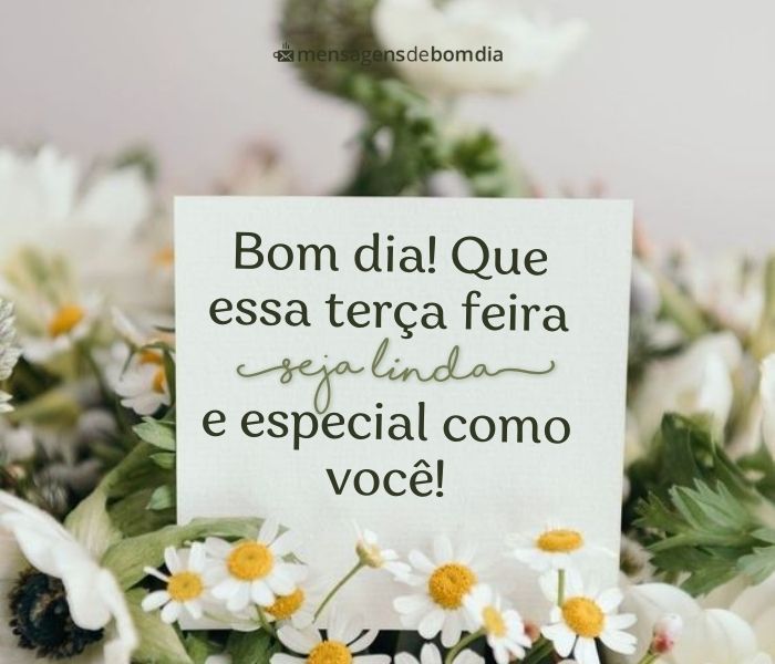 bom dia terça abençoada whatsapp