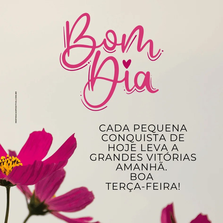 frases de bom dia para grupos de whatsapp terça
