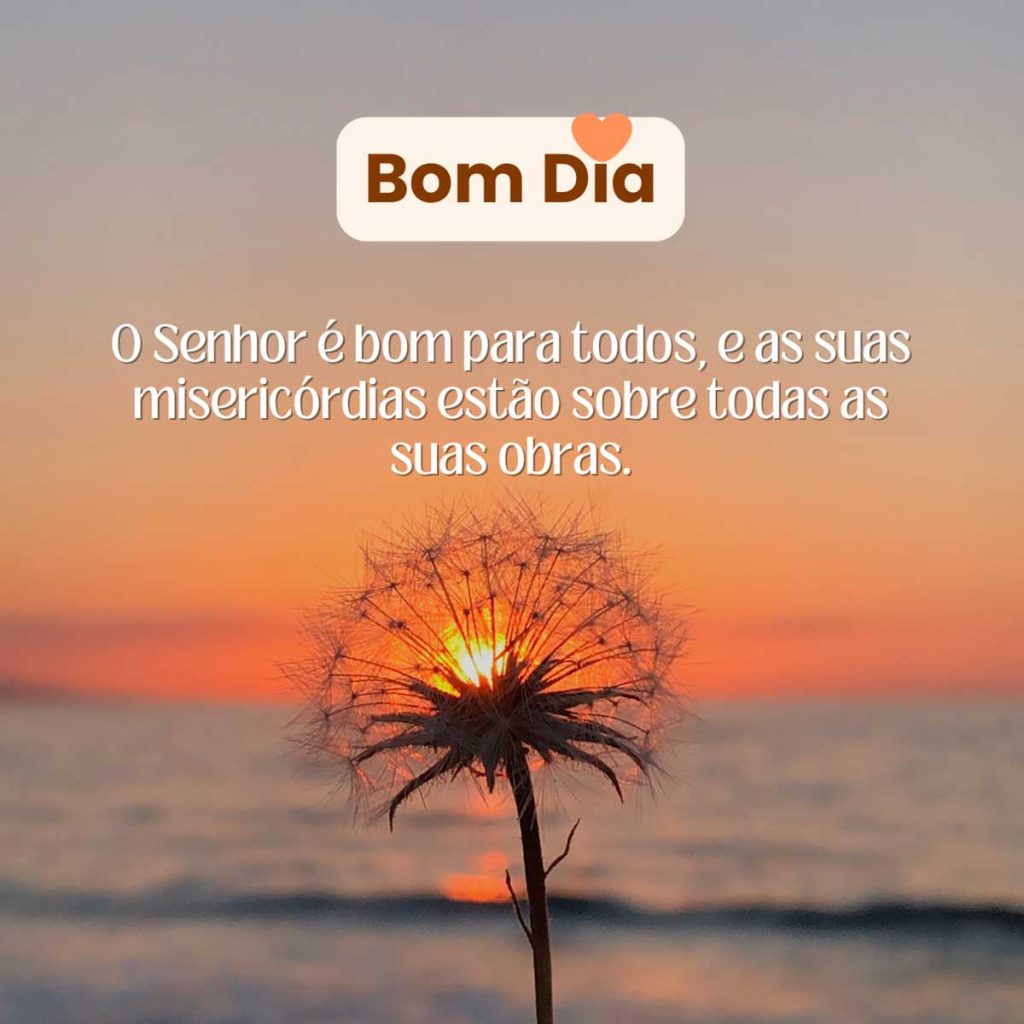 bom dia quinta-feira de paz