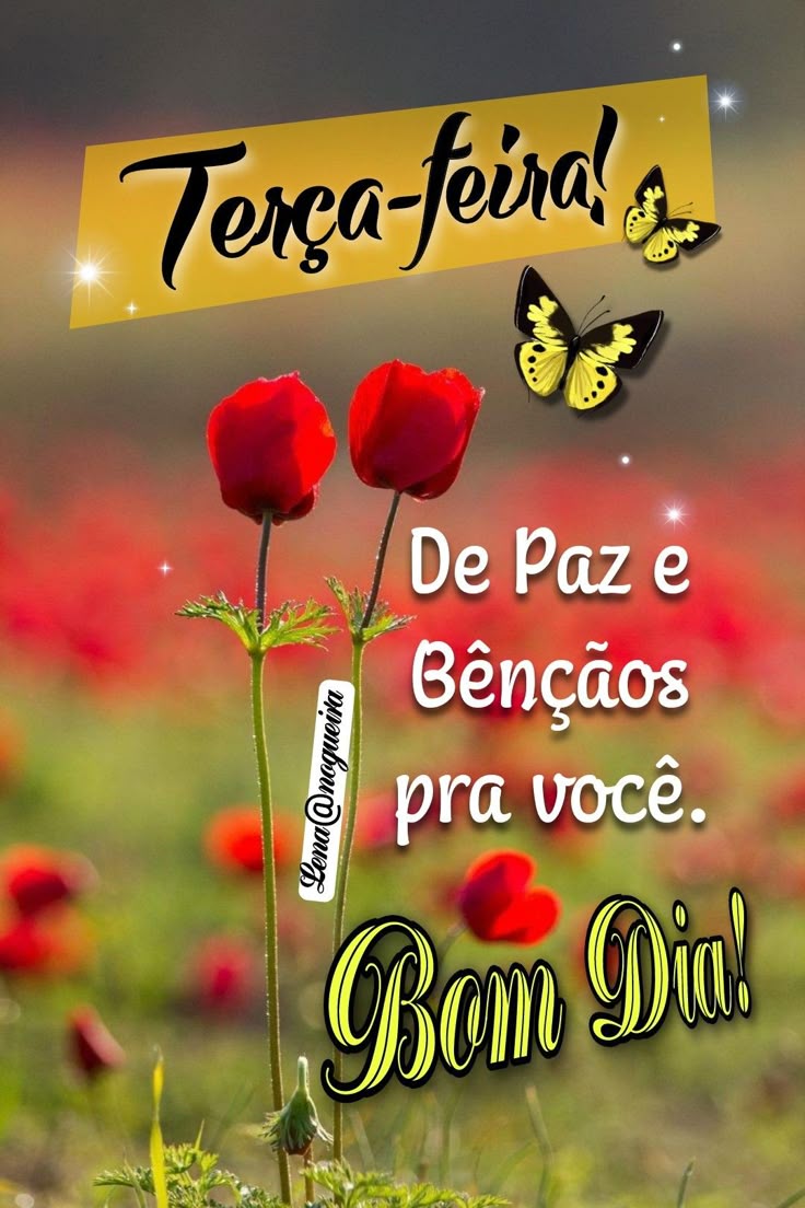 bom dia terça-feira abençoada