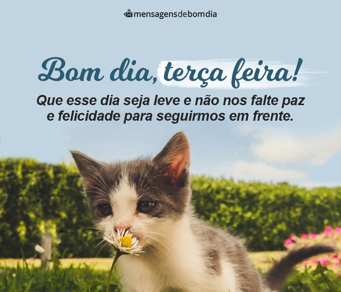 bom dia terça-feira com fé