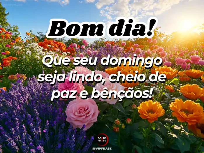 frases de bom domingo com fé