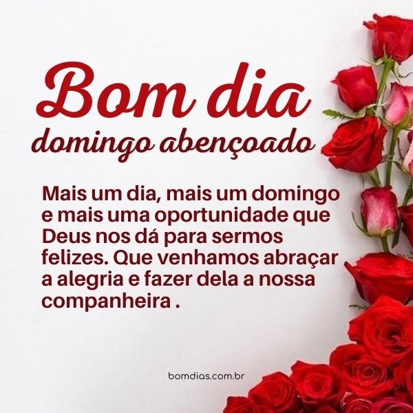 bom dia de domingo com paz e gratidão