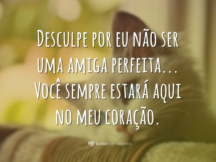 carta de desculpas
