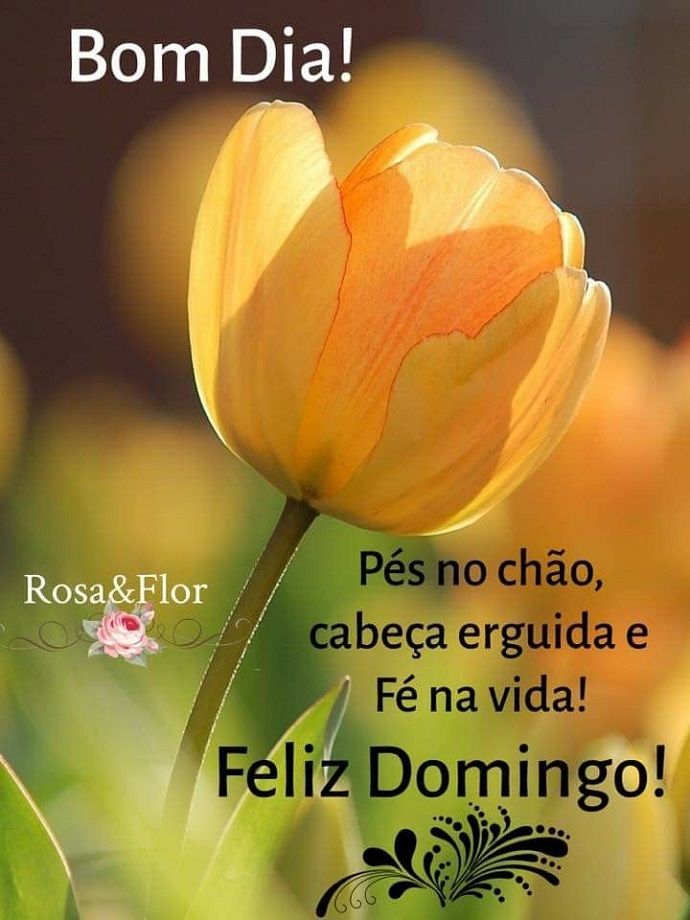 frases de bom dia domingo abençoado
