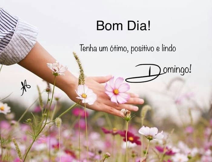 desejos de feliz domingo