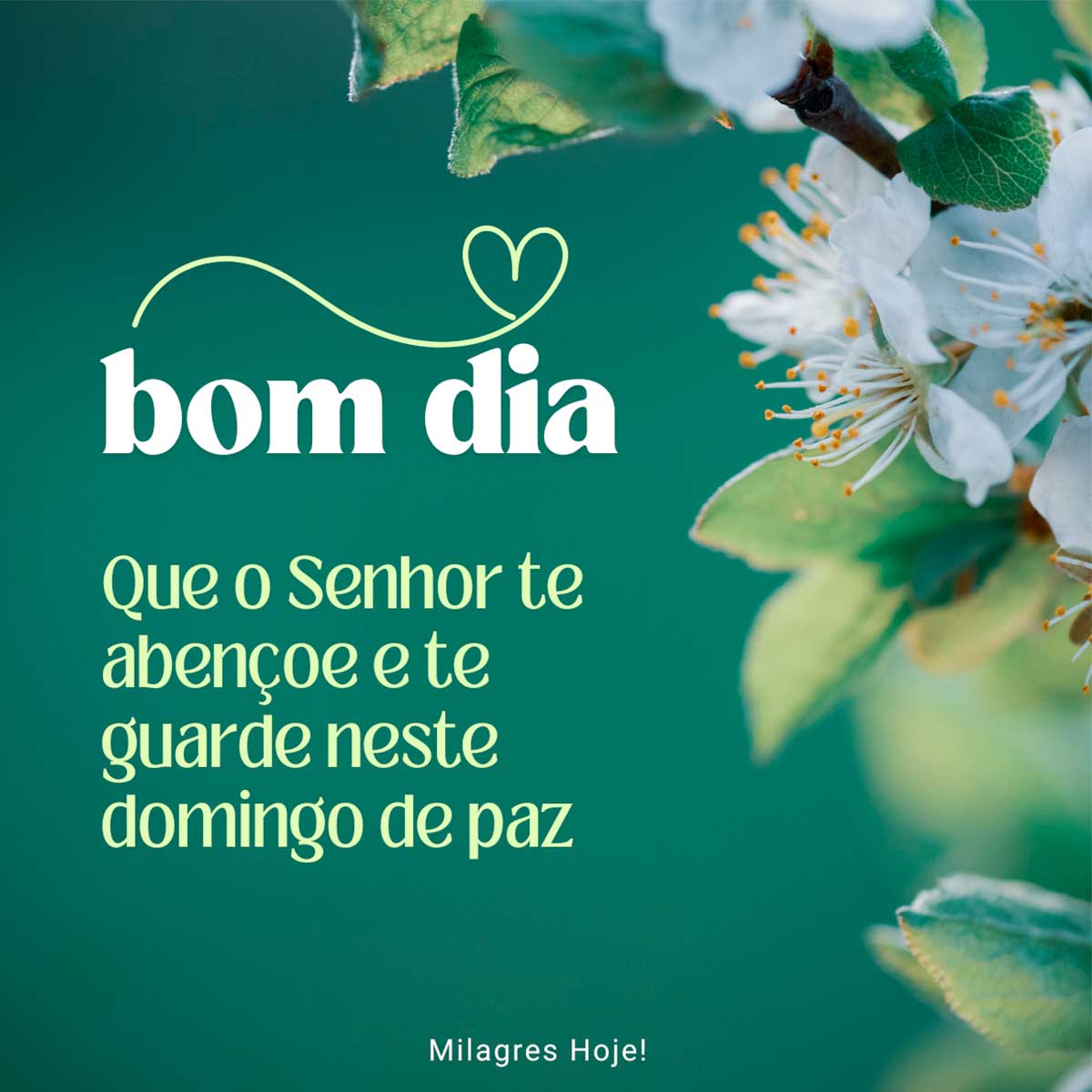 bom dia domingo com paz