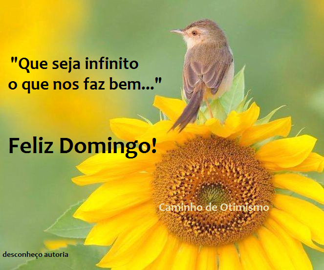 imagens de feliz domingo para compartilhar