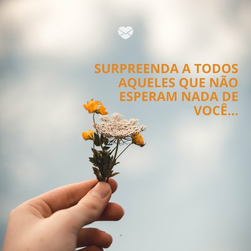 reflexões sobre resiliência