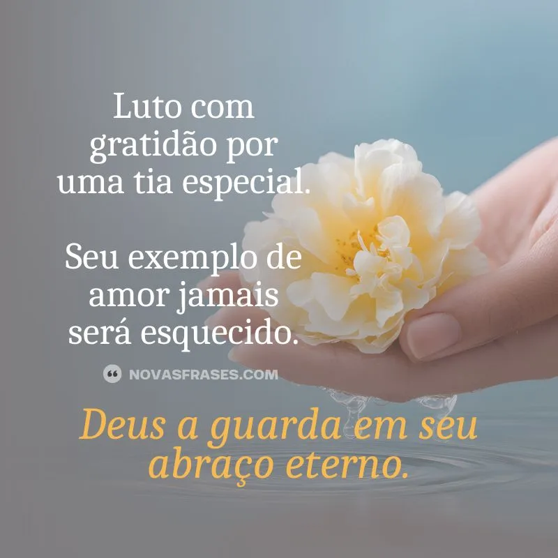 mensagem de despedida para tia