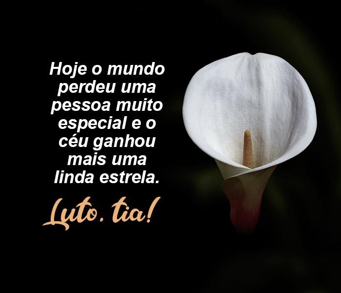 sentimentos pela perda da tia