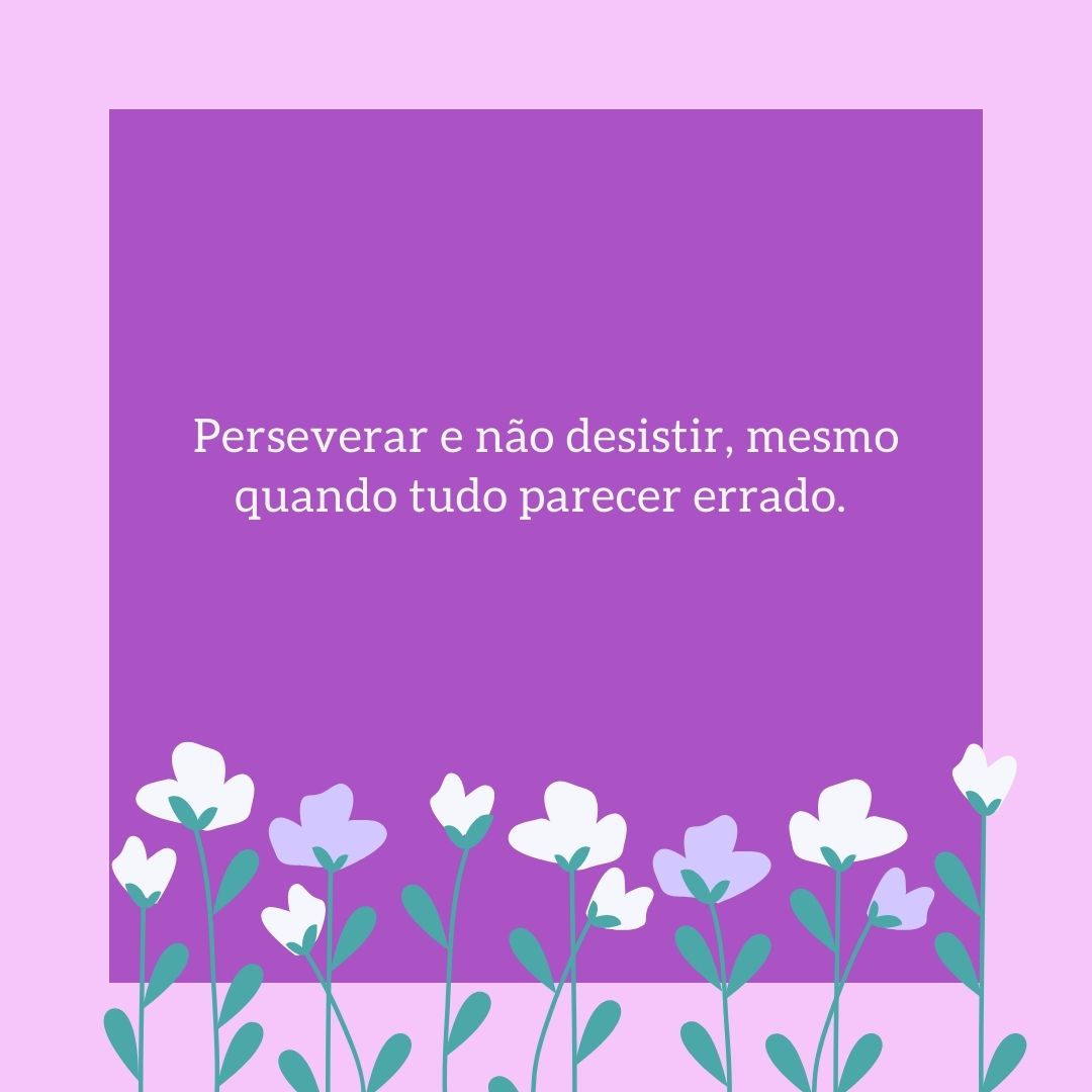 a importância de continuar tentando