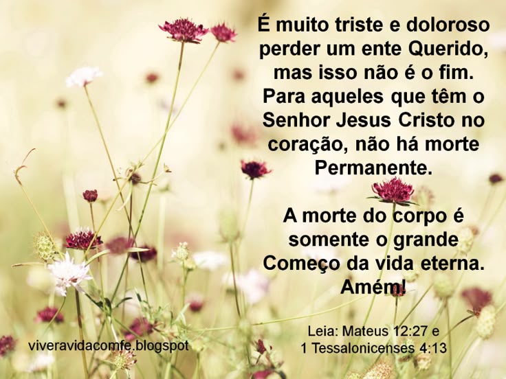 palavras de pêsames