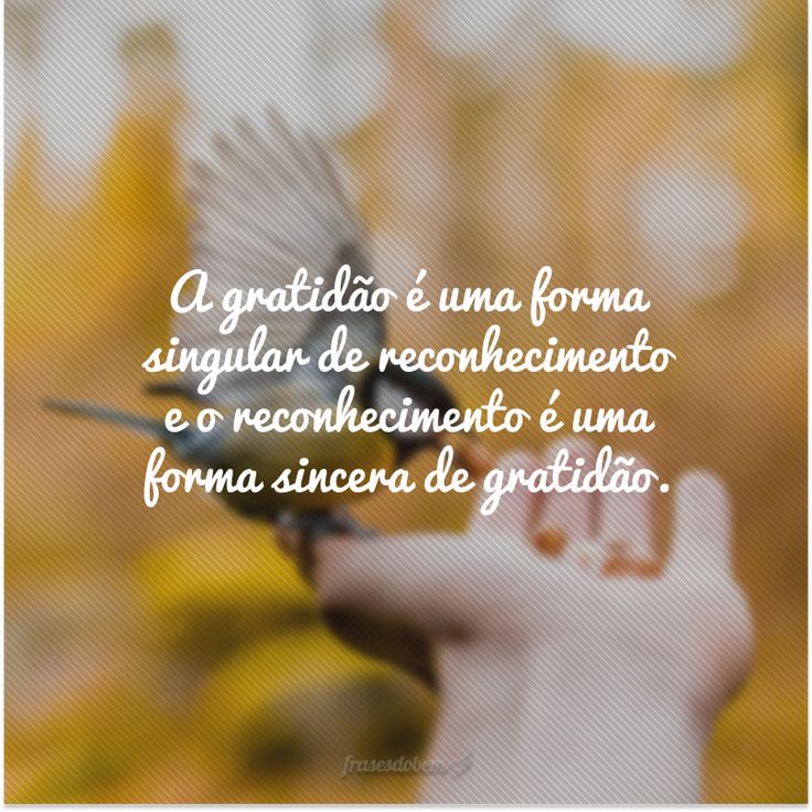 frases de gratidão