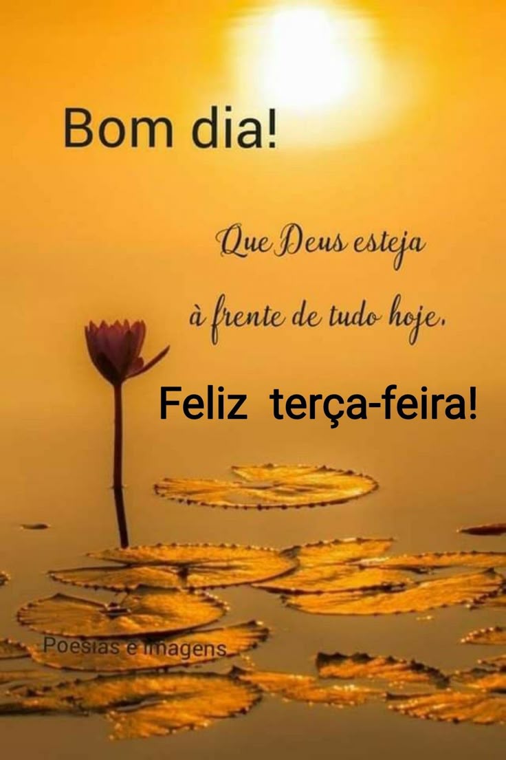 terça-feira com Deus