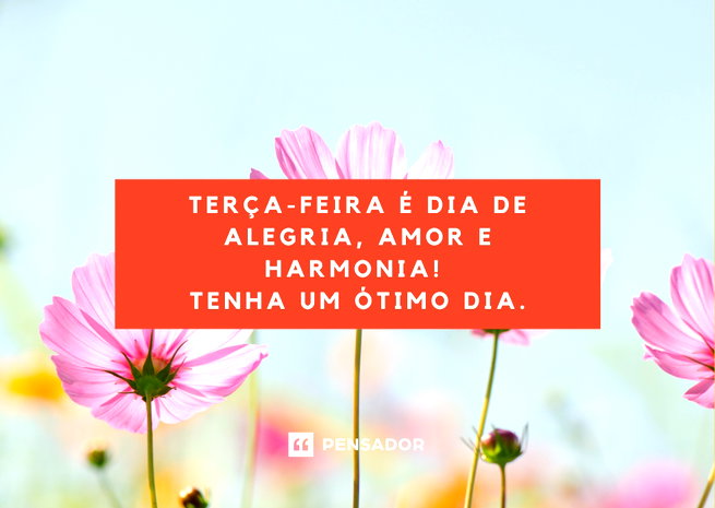 pensamentos para terça-feira