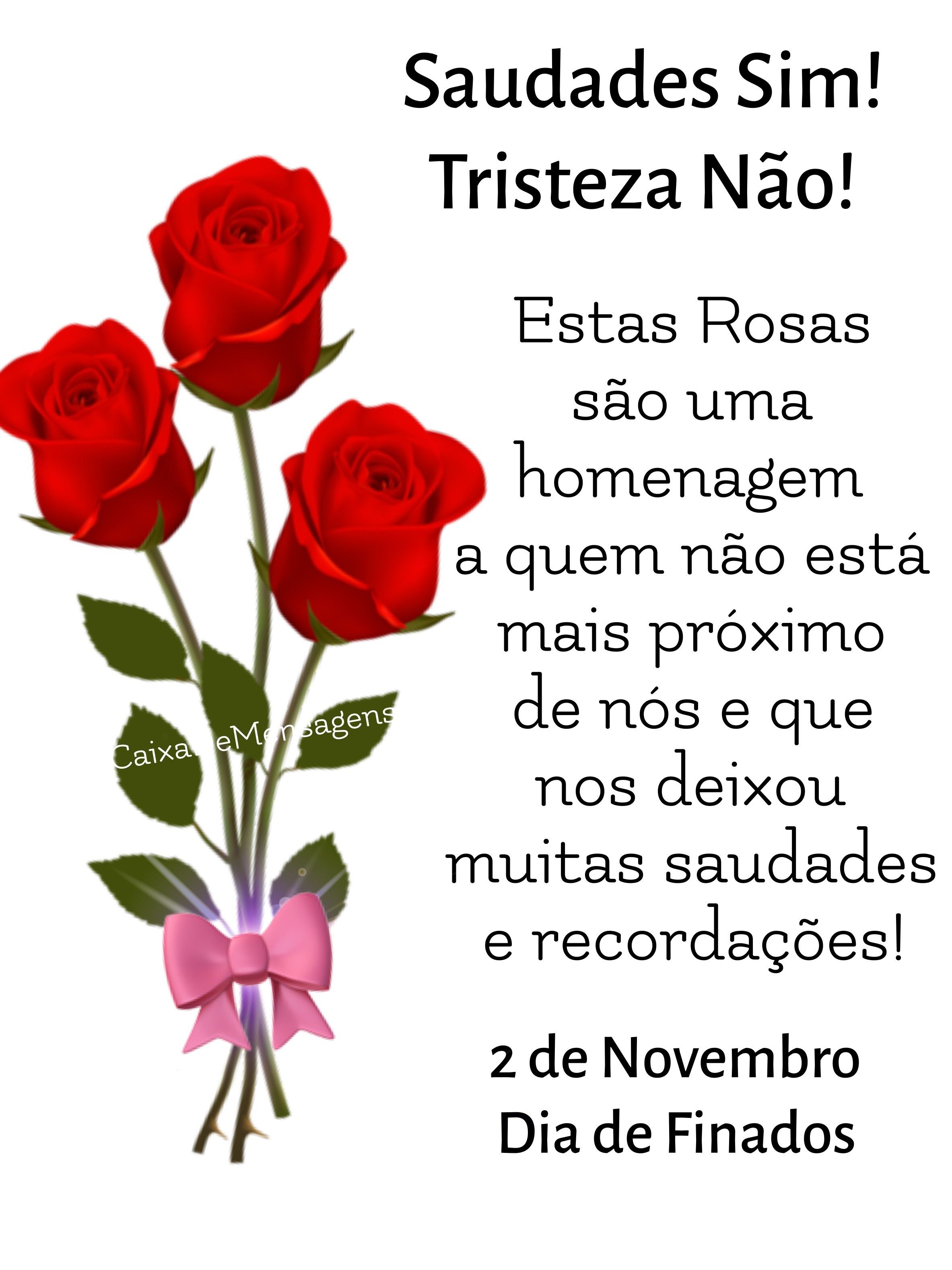 como lidar com o luto no dia de finados