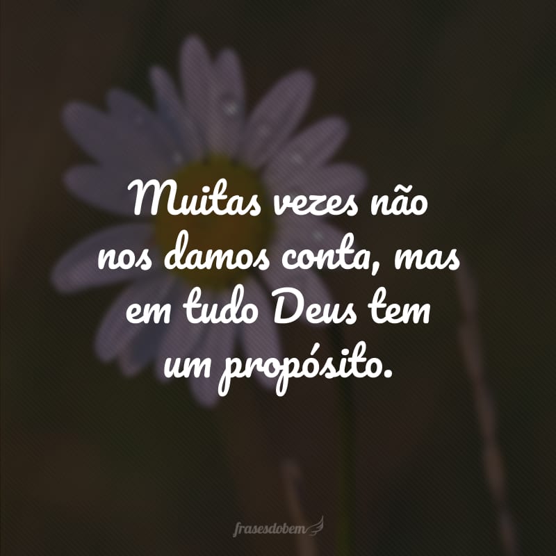 palavras de conforto em momentos difíceis