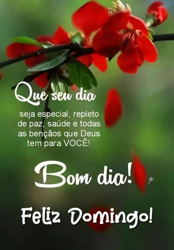 frases para domingo de manhã